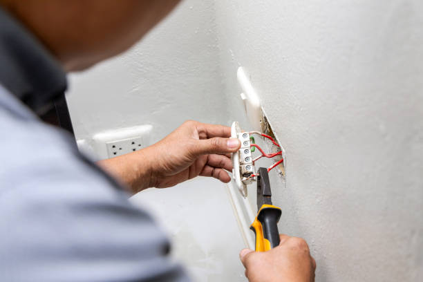Best Local Electrician Companies  in Eggertsville, NY